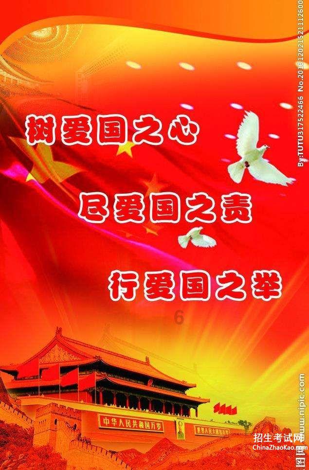 孤独的流浪者救援